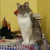 Отзыв от Ольга Гуляева
